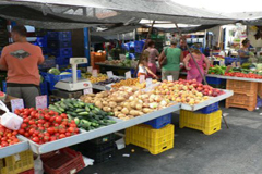 lora reabre el lunes el Mercadillo Municipal